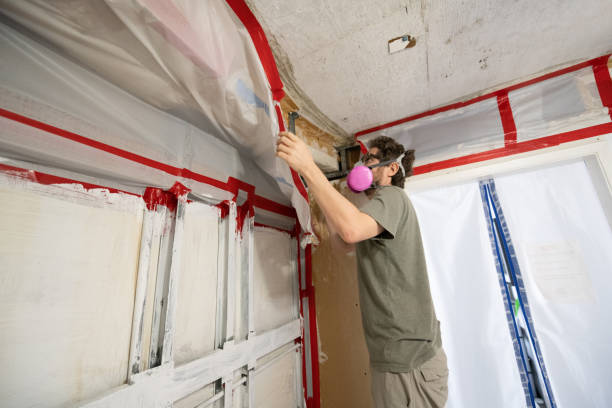 Best Mold Remediation for Healthcare Facilities  in Parkland, FL